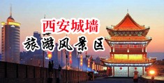 美女操逼逼sb中国陕西-西安城墙旅游风景区