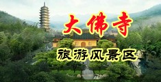 插逼逼视频嗯啊好爽中国浙江-新昌大佛寺旅游风景区